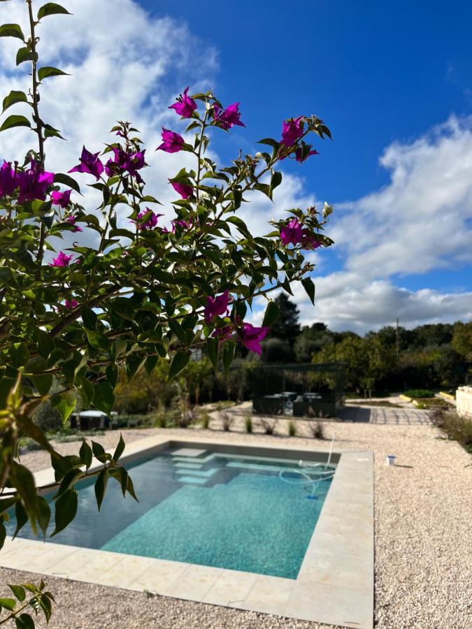 Villa Ada-Trulli Puglia 마르티나프란카 외부 사진